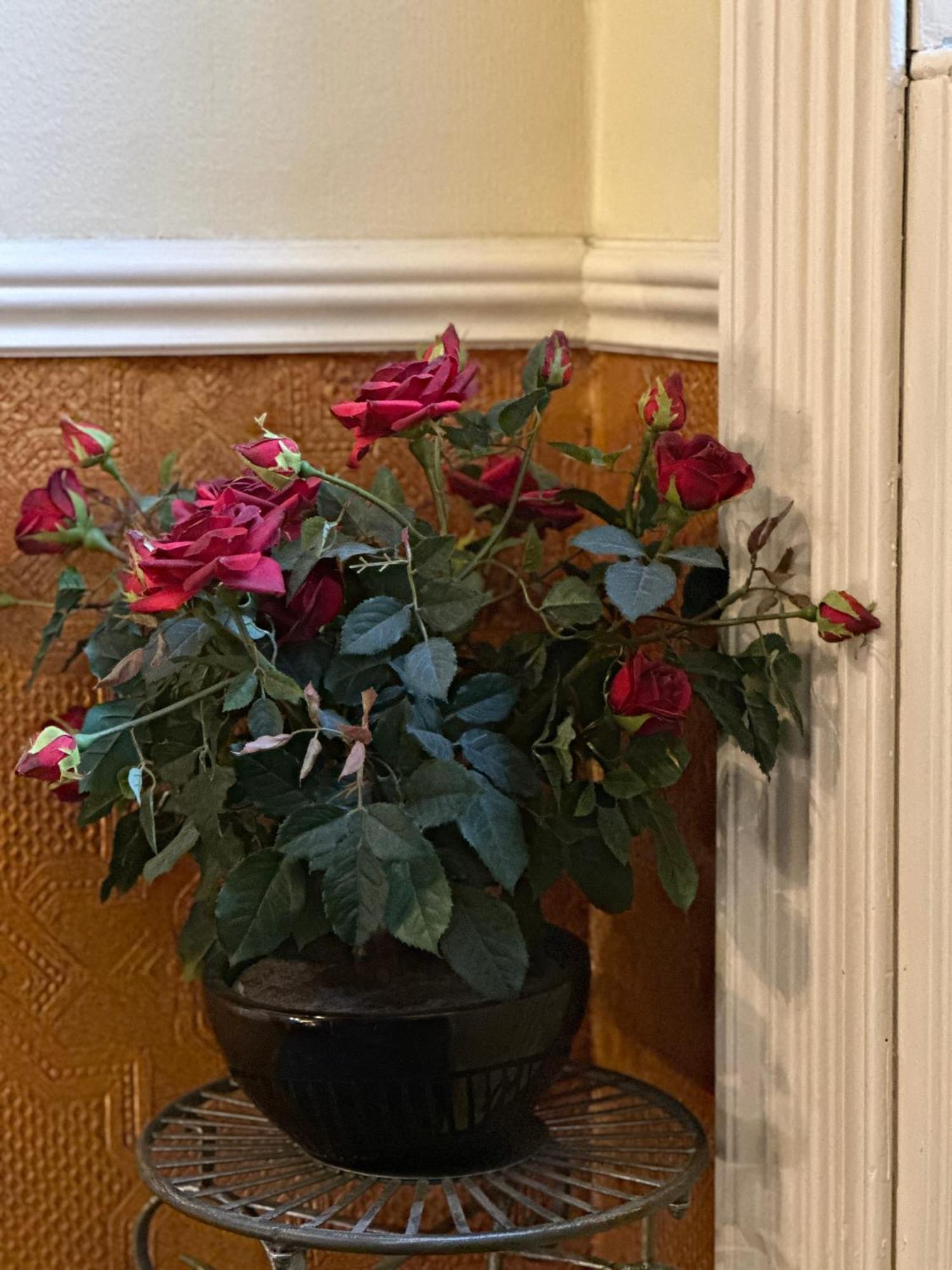 Guest house Rosehall