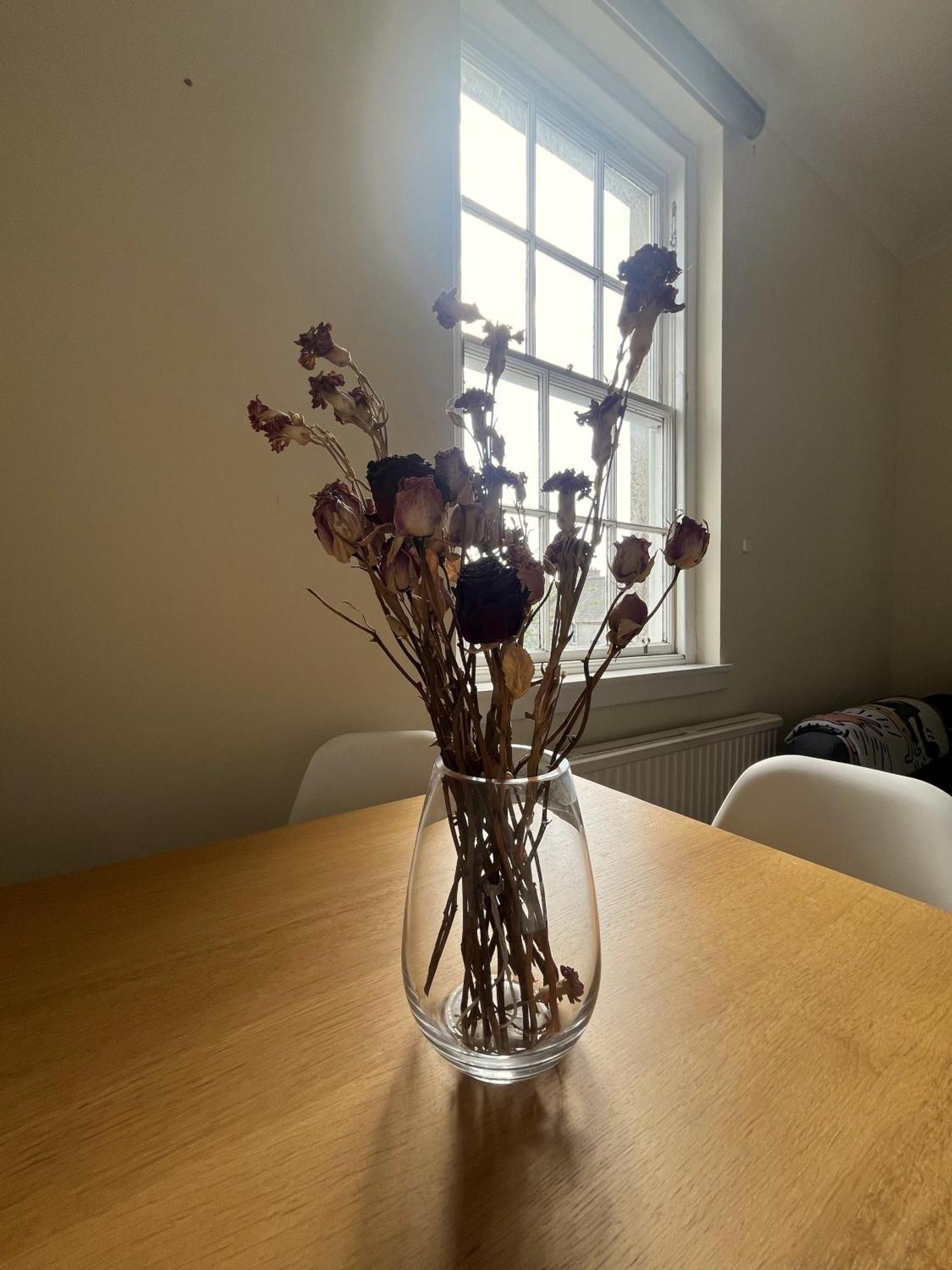 Apartment Centre - George Square