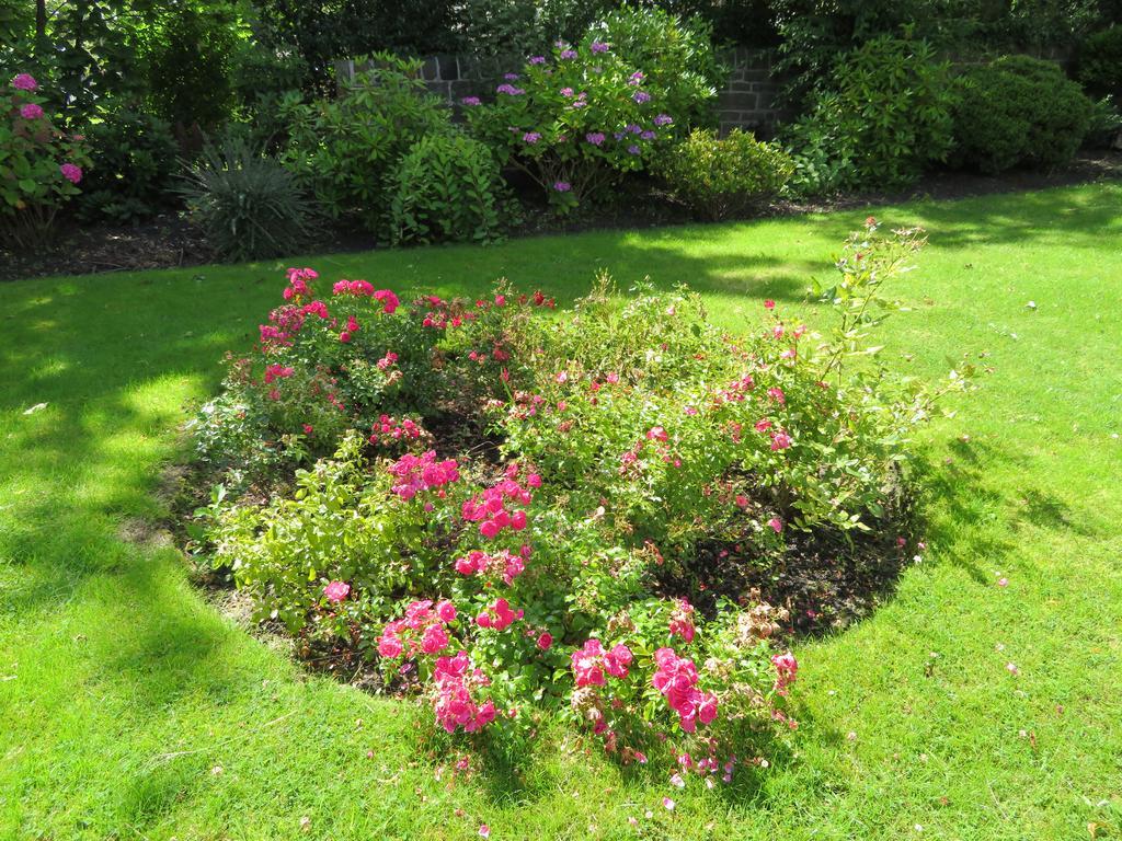 Duthus Guest house Edinburgh