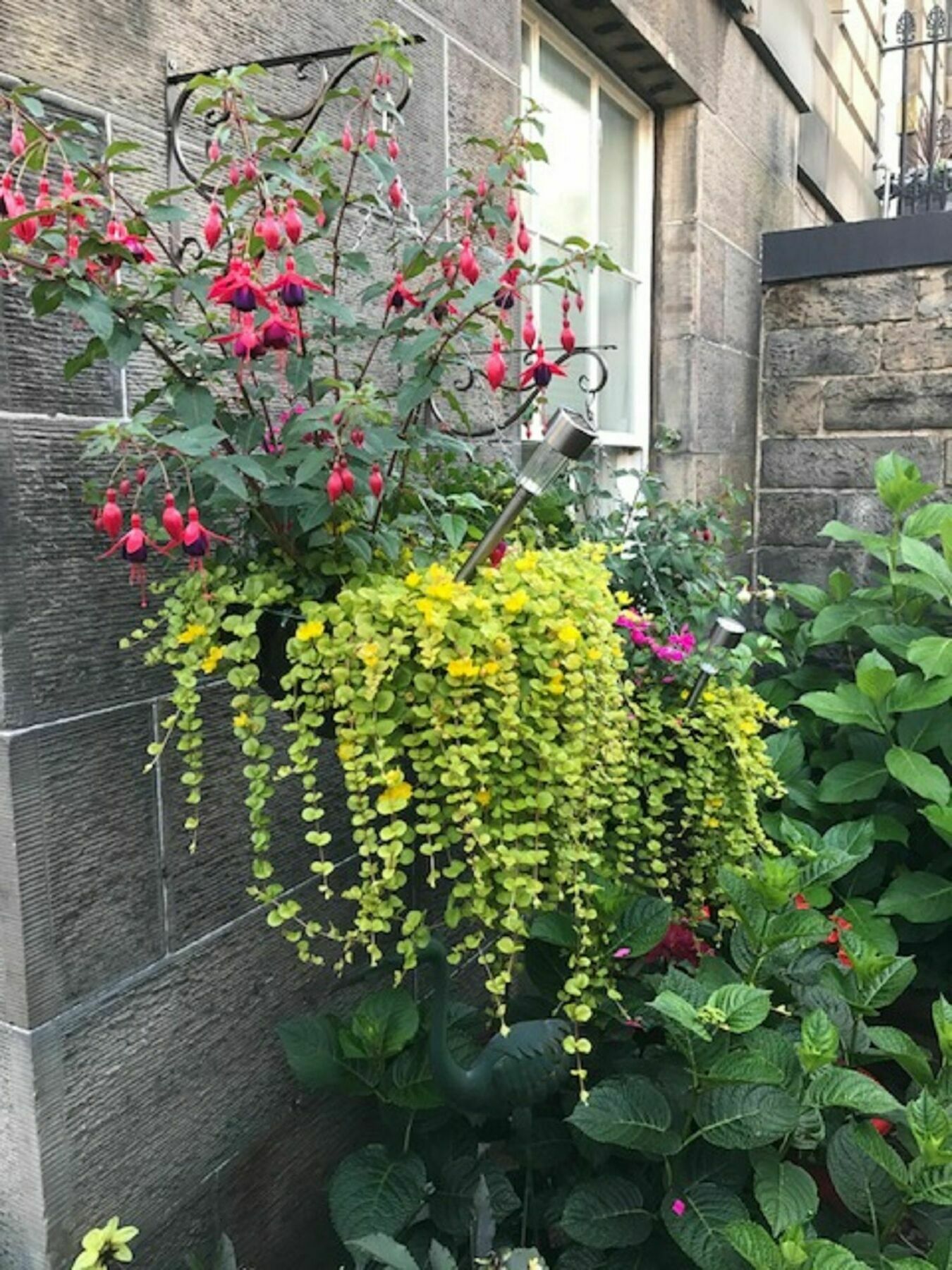 22 Chester Street Guest house Edinburgh